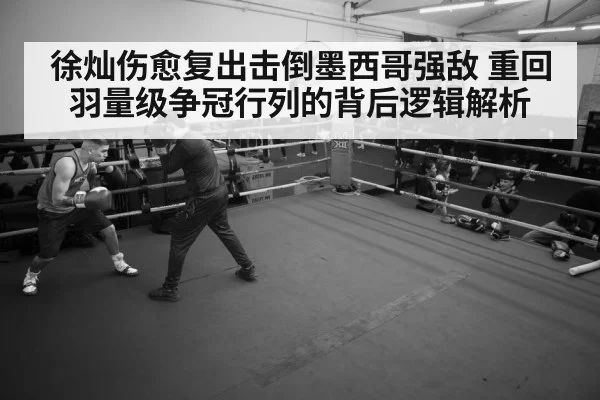 boxer training gym